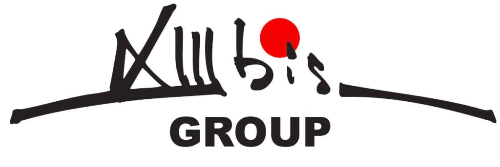 13 BIS GROUP